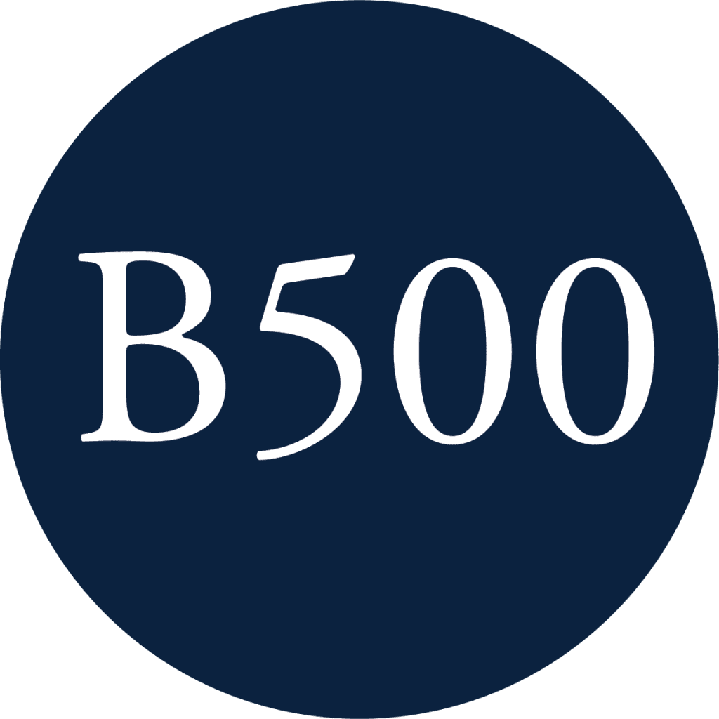 B500 LOGO